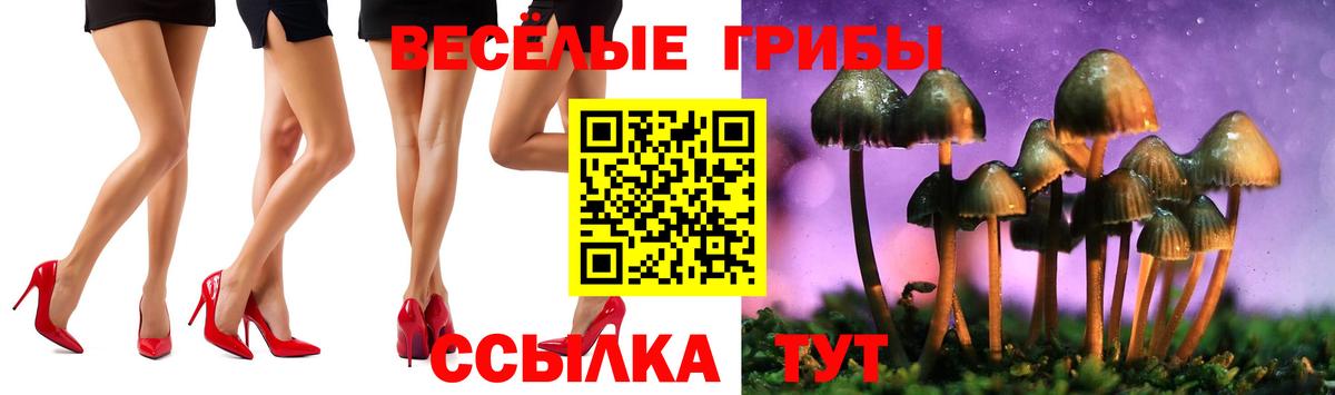 Псилоцибиновые грибы GOLDEN TEACHER  Вход с VPN  Ликино-Дулёво 